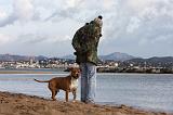 ADULTE ET CHIEN 204